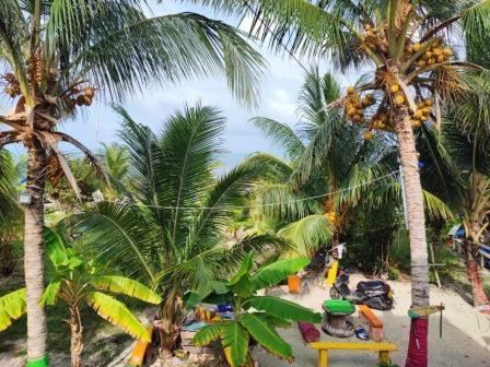 Posada Nativa Three Brothers Buenavista  ภายนอก รูปภาพ